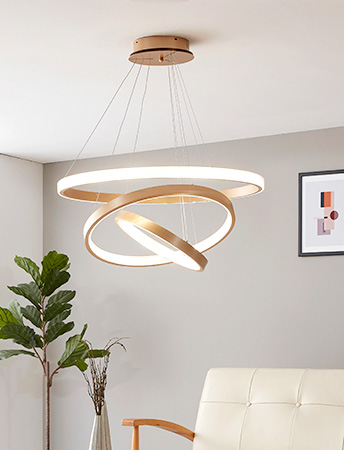 LED ︮ ׸ 100W ޽ κ  ī׸