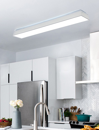 LED  ֹ 50W(Ｚ LED/øĿ/3AS) ֹ ξ led