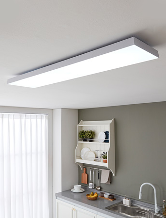 LED ο Ʈ ֹ 50W Ʈ/LED ֹ ξ ξ