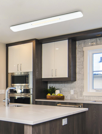 LED Ϸ ֹ 25W/50WＺLED/Ͼ+ ֹ ξ led