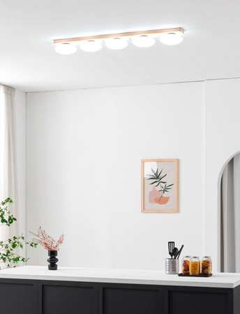 LED ׸  ֹ 30W/50W /õ  ޽