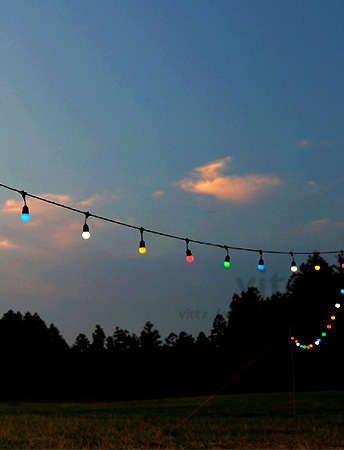 LED ƼƮ P1()̾  ž 