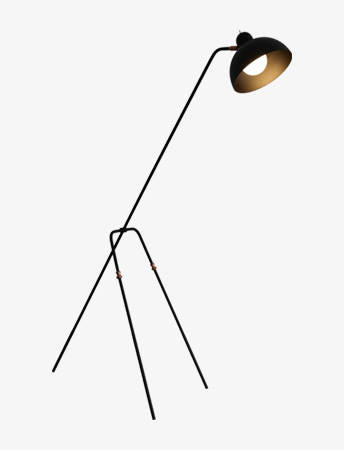  1 ÷ξĵ      彺ĵ Ž