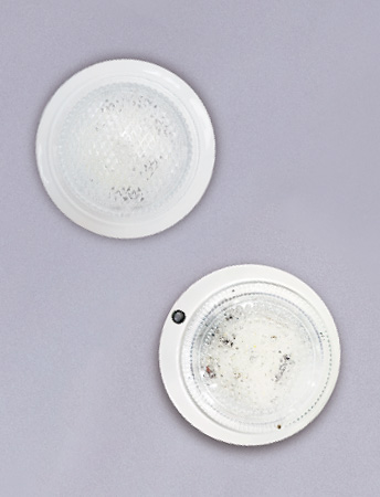  ȿ  / 12WＺ LED