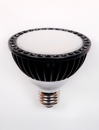  LED  PAR30 (Ȯ/)